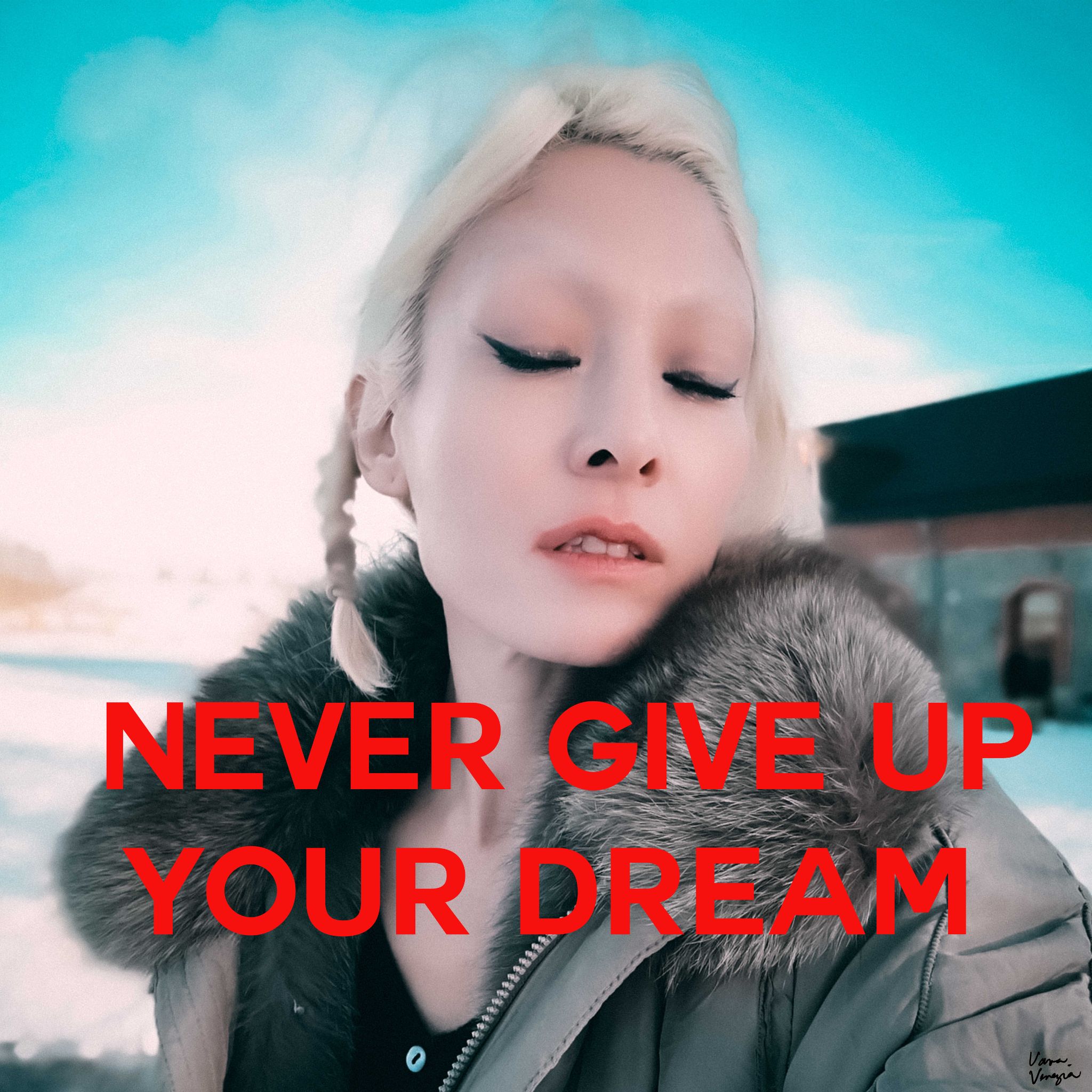 Small. 19. NEVER GIVE UP  copy